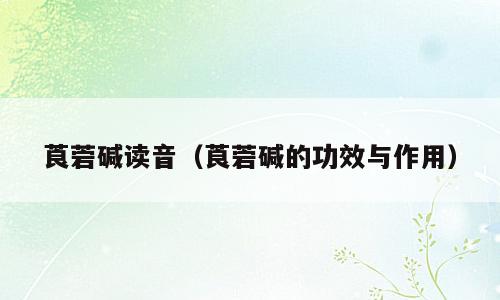 莨菪碱读音（莨菪碱的功效与作用）