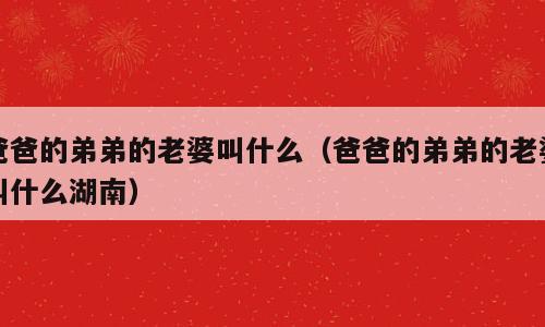 爸爸的弟弟的老婆叫什么（爸爸的弟弟的老婆叫什么湖南）