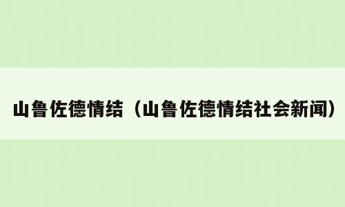 山鲁佐德情结（山鲁佐德情结社会新闻）
