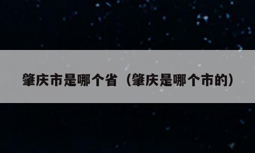 肇庆市是哪个省（肇庆是哪个市的）