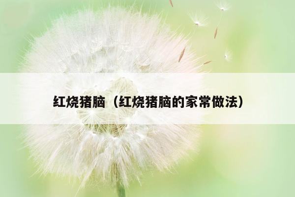 红烧猪脑（红烧猪脑的家常做法）