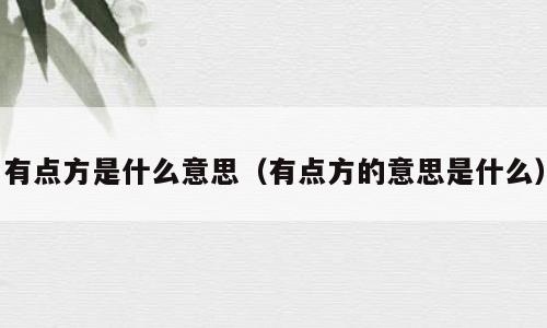 有点方是什么意思（有点方的意思是什么）