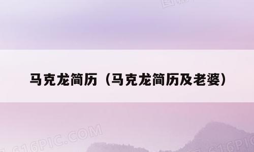 马克龙简历（马克龙简历及老婆）