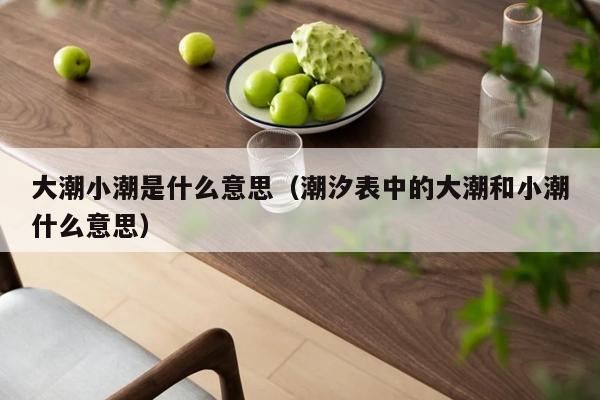 大潮小潮是什么意思（潮汐表中的大潮和小潮什么意思）