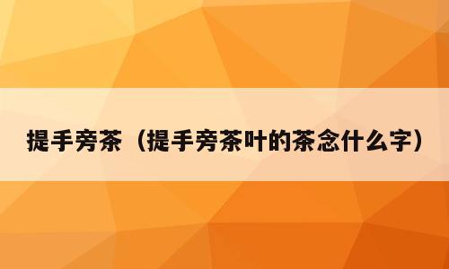 提手旁茶（提手旁茶叶的茶念什么字）