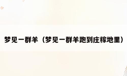 梦见一群羊（梦见一群羊跑到庄稼地里）