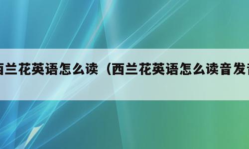 西兰花英语怎么读（西兰花英语怎么读音发音）