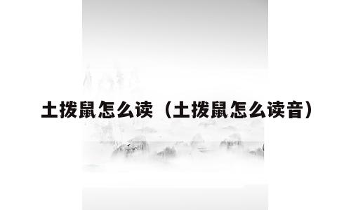 土拨鼠怎么读（土拨鼠怎么读音）