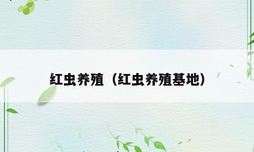 红虫养殖（红虫养殖基地）