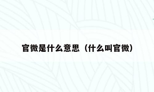 官微是什么意思（什么叫官微）