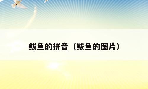 鲅鱼的拼音（鲅鱼的图片）