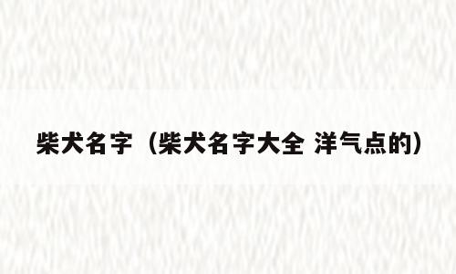 柴犬名字（柴犬名字大全 洋气点的）