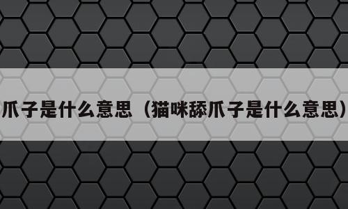 爪子是什么意思（猫咪舔爪子是什么意思）