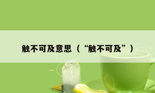 触不可及意思（“触不可及”）