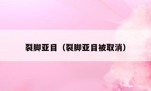 裂脚亚目（裂脚亚目被取消）