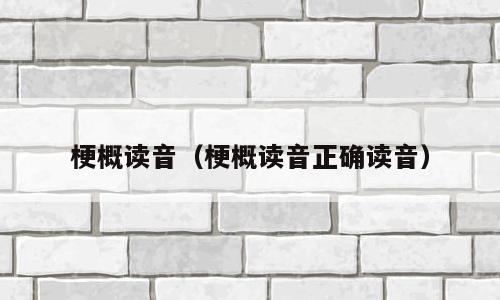 梗概读音（梗概读音正确读音）