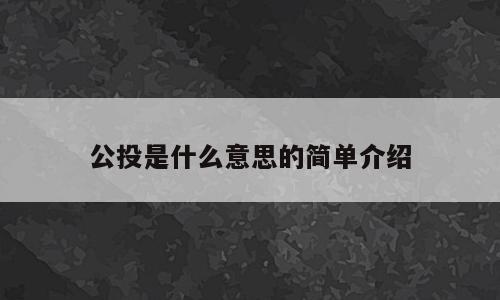 公投是什么意思的简单介绍