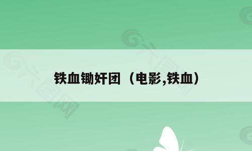 铁血锄奸团（电影,铁血）