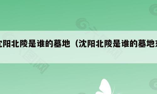 沈阳北陵是谁的墓地（沈阳北陵是谁的墓地东）