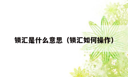 锁汇是什么意思（锁汇如何操作）