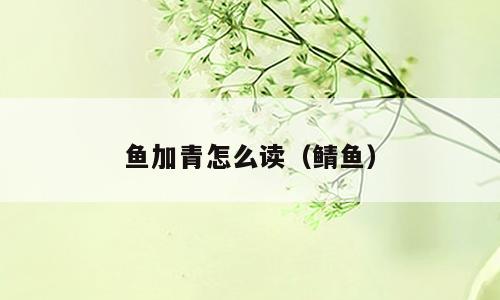 鱼加青怎么读（鲭鱼）