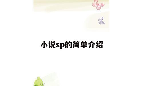 小说sp的简单介绍