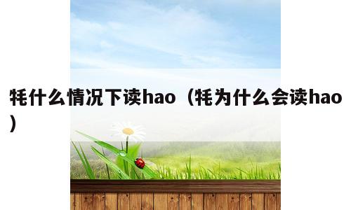 牦什么情况下读hao（牦为什么会读hao）