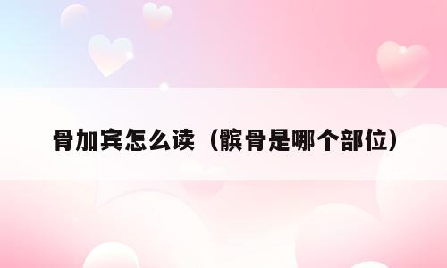骨加宾怎么读（髌骨是哪个部位）