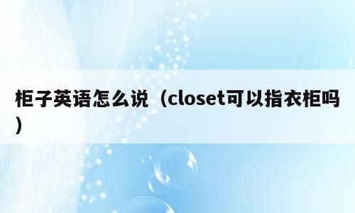 柜子英语怎么说（closet可以指衣柜吗）