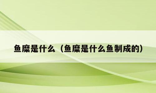 鱼糜是什么（鱼糜是什么鱼制成的）