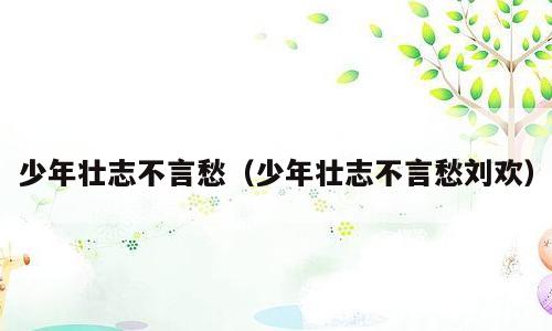 少年壮志不言愁（少年壮志不言愁刘欢）