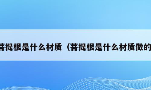 菩提根是什么材质（菩提根是什么材质做的）