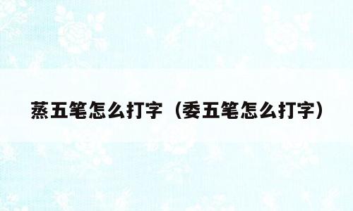 蒸五笔怎么打字（委五笔怎么打字）