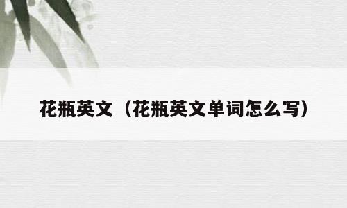 花瓶英文（花瓶英文单词怎么写）