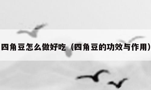 四角豆怎么做好吃（四角豆的功效与作用）