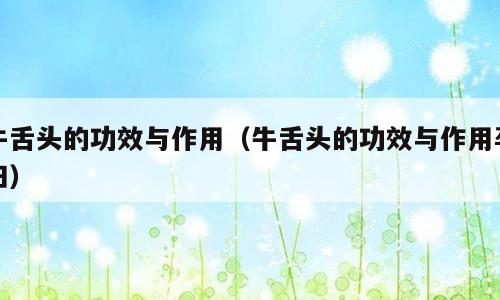 牛舌头的功效与作用（牛舌头的功效与作用孕妇）