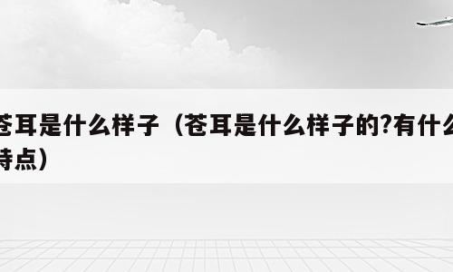 苍耳是什么样子（苍耳是什么样子的?有什么特点）