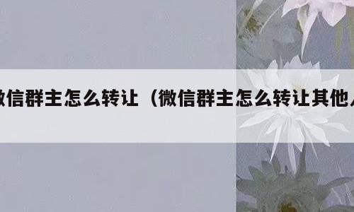 微信群主怎么转让（微信群主怎么转让其他人）