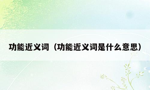 功能近义词（功能近义词是什么意思）
