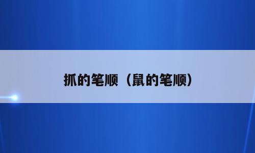 抓的笔顺（鼠的笔顺）