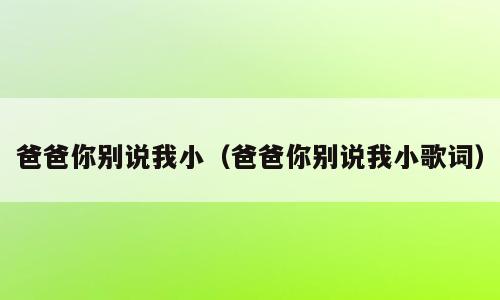 爸爸你别说我小（爸爸你别说我小歌词）