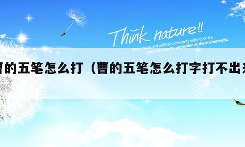 曹的五笔怎么打（曹的五笔怎么打字打不出来）
