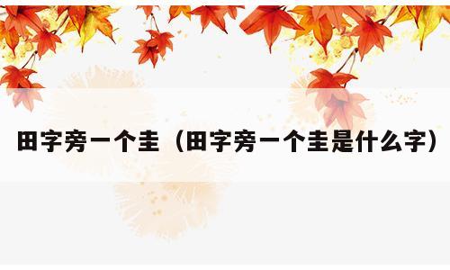 田字旁一个圭（田字旁一个圭是什么字）
