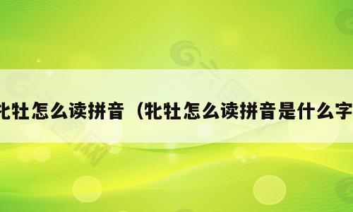 牝牡怎么读拼音（牝牡怎么读拼音是什么字）