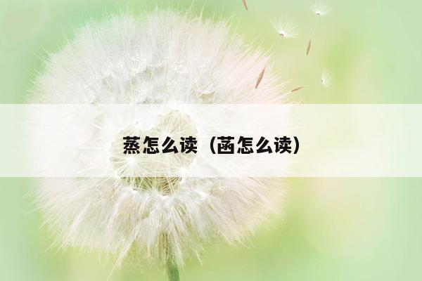 蒸怎么读（菡怎么读）