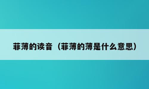 菲薄的读音（菲薄的薄是什么意思）