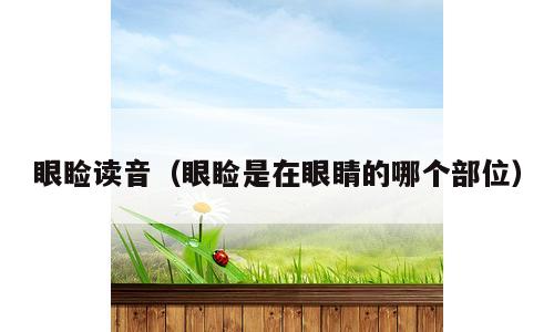 眼睑读音（眼睑是在眼睛的哪个部位）