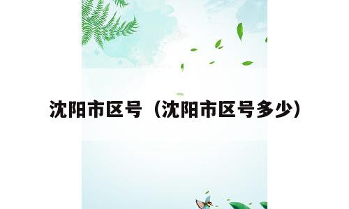 沈阳市区号（沈阳市区号多少）