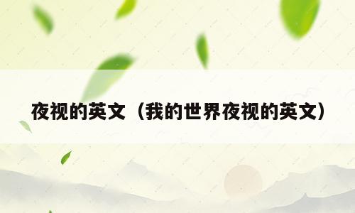夜视的英文（我的世界夜视的英文）