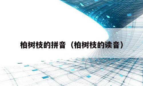 柏树枝的拼音（柏树枝的读音）